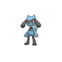 Riolu w grze Ultra Sun / Ultra Moon