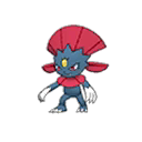 Weavile w grze Ultra Sun / Ultra Moon