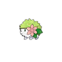 Shaymin w grze Ultra Sun / Ultra Moon
