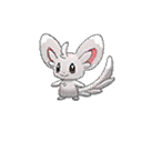 Minccino w grze Ultra Sun / Ultra Moon