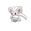 Cinccino w grze Ultra Sun / Ultra Moon