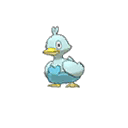 Ducklett w grze Ultra Sun / Ultra Moon