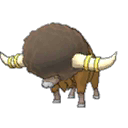 Bouffalant w grze Ultra Sun / Ultra Moon