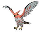 Talonflame w grze Ultra Sun / Ultra Moon