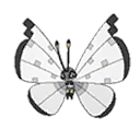 Vivillon w grze Ultra Sun / Ultra Moon
