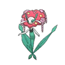 Florges w grze Ultra Sun / Ultra Moon