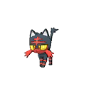 Litten w grze Ultra Sun / Ultra Moon