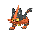 Torracat w grze Ultra Sun / Ultra Moon