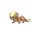 Yungoos w grze Ultra Sun / Ultra Moon
