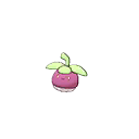 Bounsweet w grze Ultra Sun / Ultra Moon