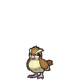 Pidgey w grze Pokemon Brilliant Diamond