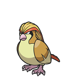 Pidgeot w grze Pokemon Brilliant Diamond