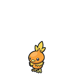 Torchic w grze Brilliant Diamond / Shining Pearl