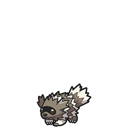 Zigzagoon w grze Brilliant Diamond / Shining Pearl