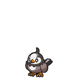 Starly w grze Brilliant Diamond / Shining Pearl