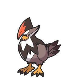 Staraptor w grze Brilliant Diamond / Shining Pearl