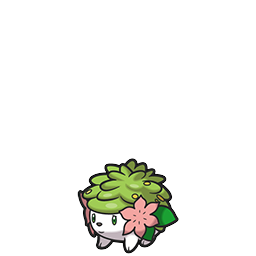 Shaymin w grze Brilliant Diamond / Shining Pearl