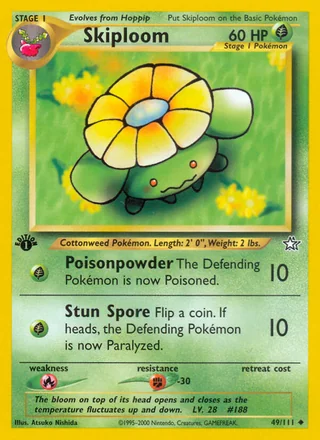 Skiploom, Neo Genesis