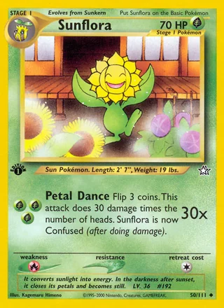 Sunflora, Neo Genesis