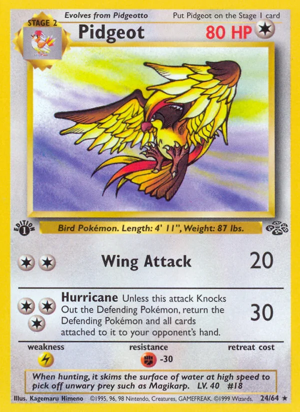 Pidgeot, Jungle