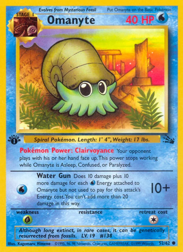 Omanyte, Fossil