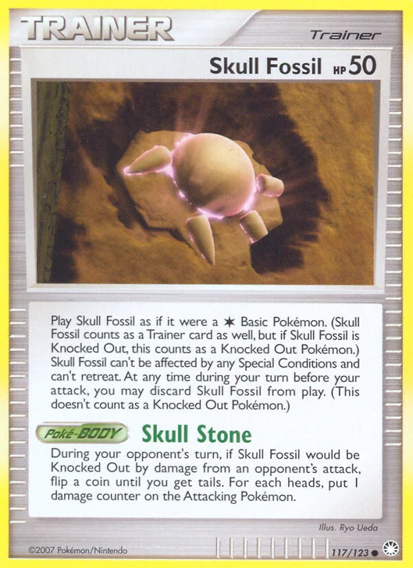 Skull Fossil, Mysterious Treasures