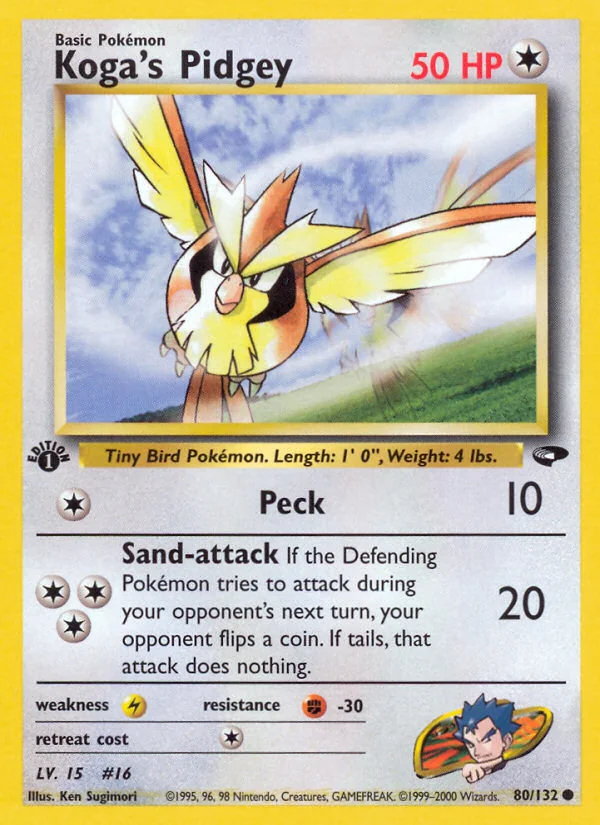 Koga's Pidgey, Gym Challenge