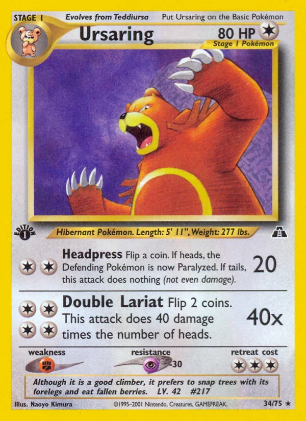 Ursaring, Neo Discovery